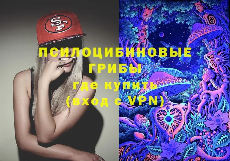 купить наркотики сайты  OMG   Псилоцибиновые грибы Psilocybe  Губкинский 